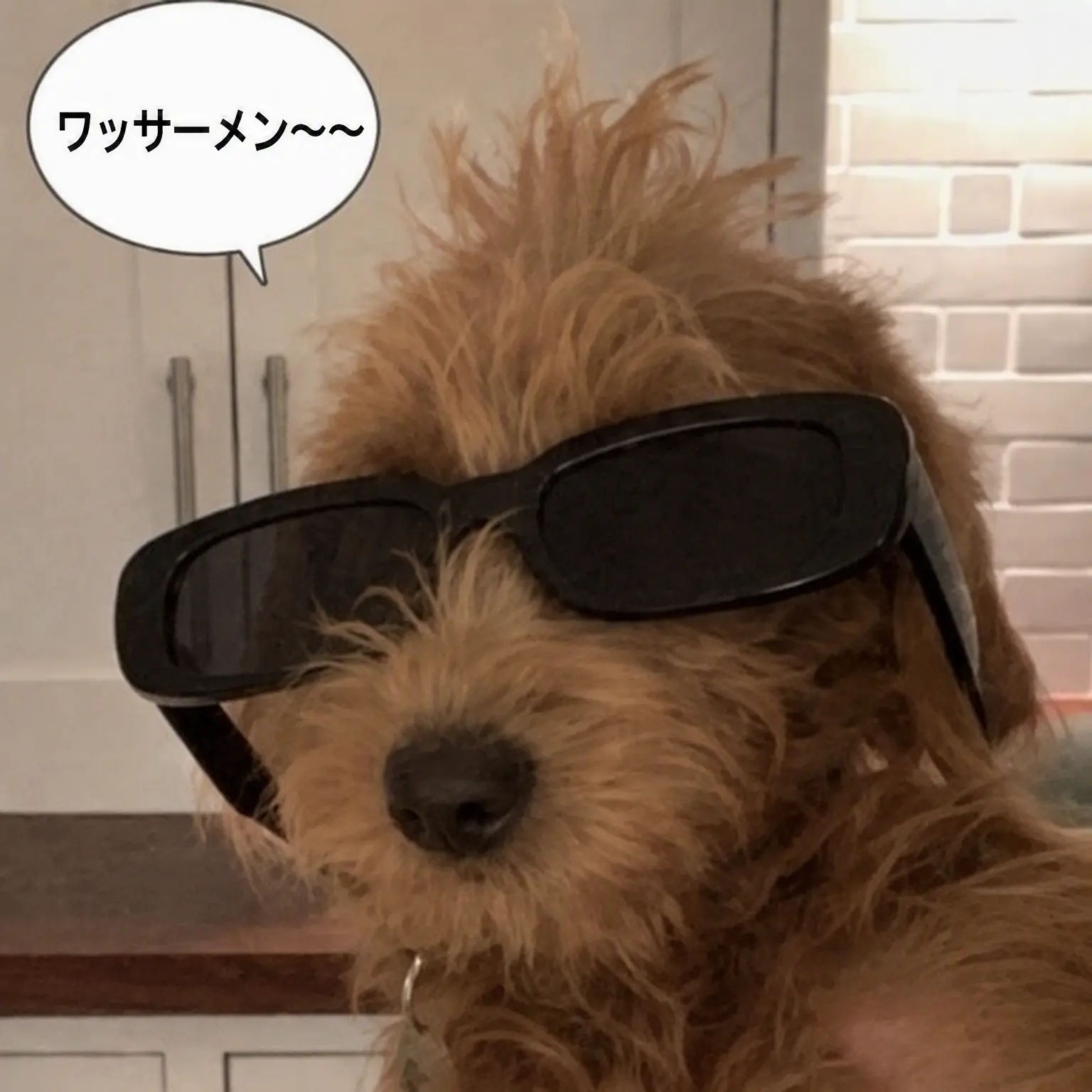 UntidyQuake3754의 お嬢様と使用人たち