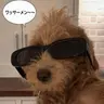 Profile image of お嬢様と使用人たち