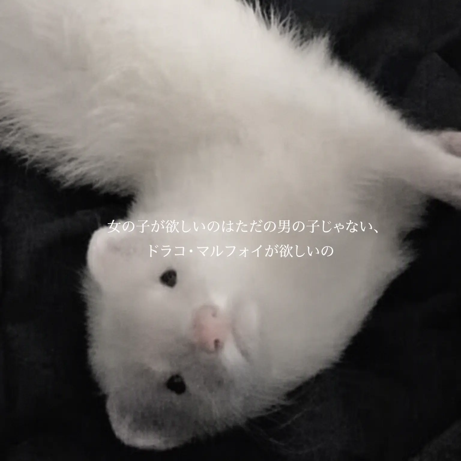 Tomisbest의 ドラコ・マルフォイ