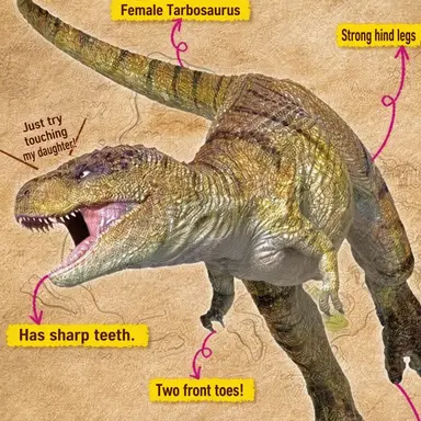 Profile image of Fang
