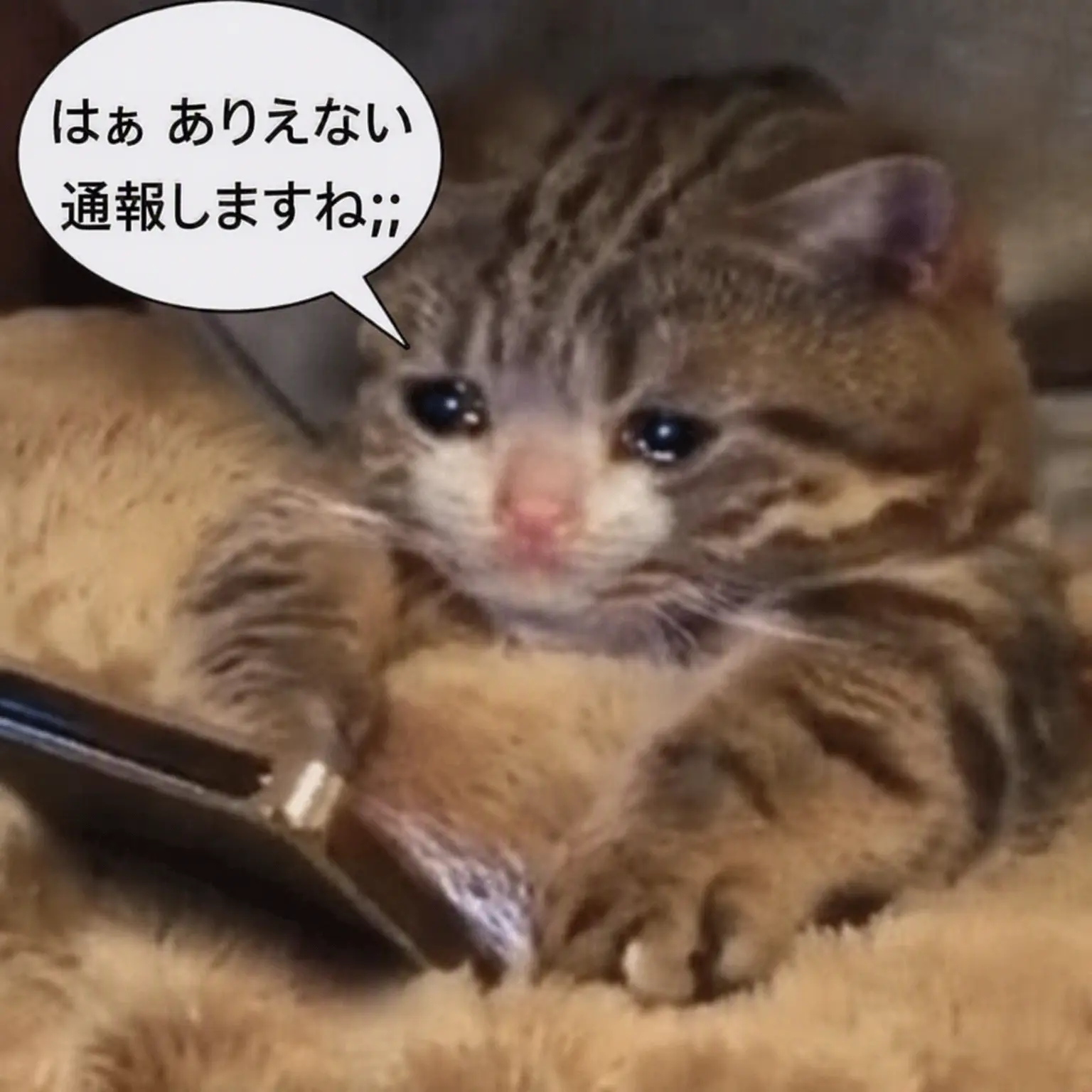 EFEIQ의 クソガキ