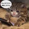 Profile image of クソガキ
