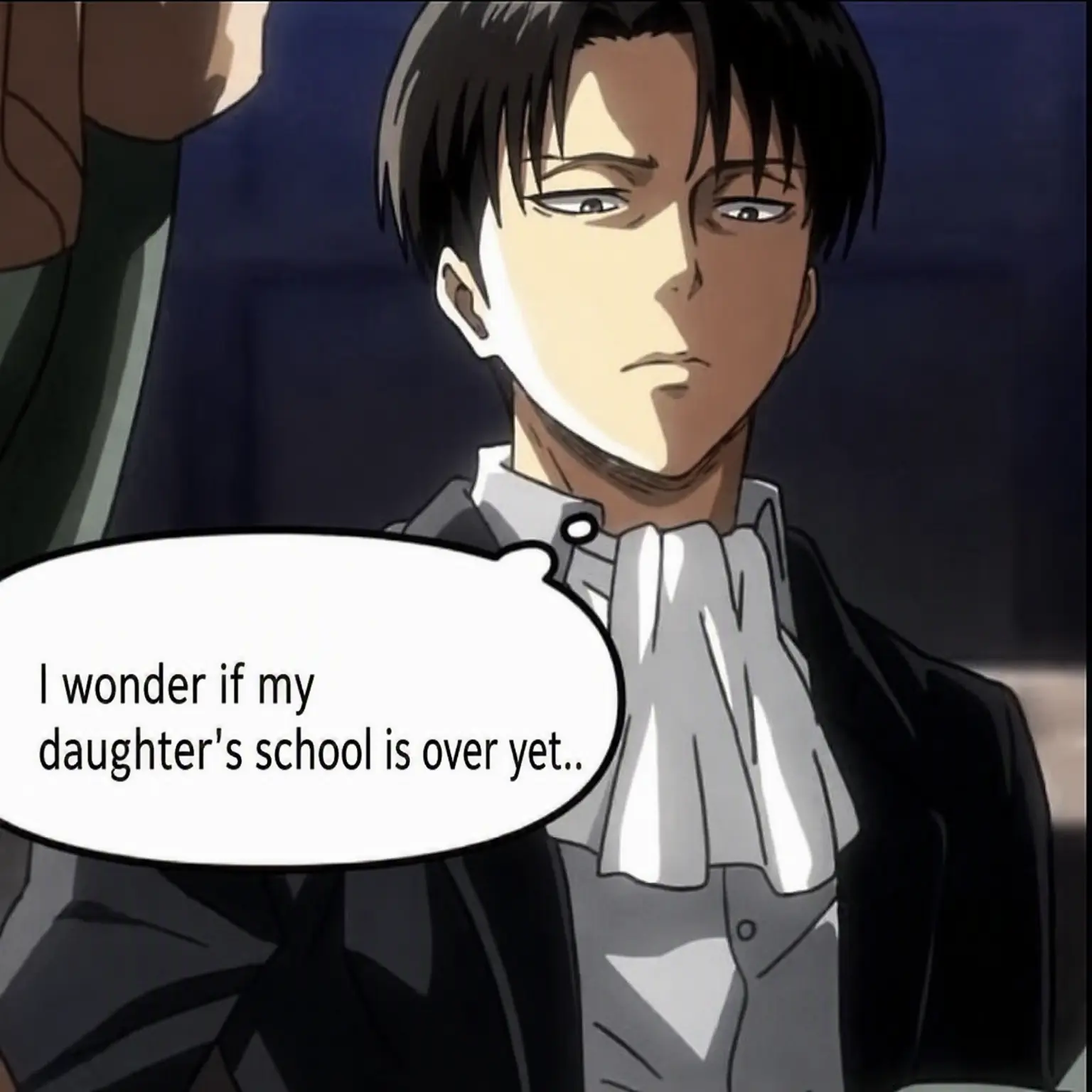 liax0451의 Levi Ackerman