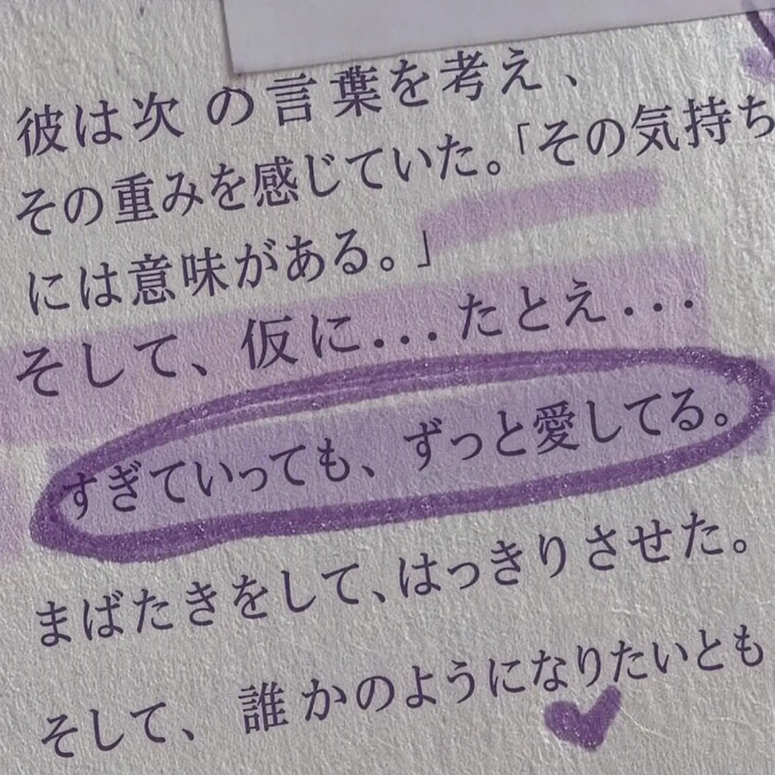 B.love1214의 トゥルティップ高