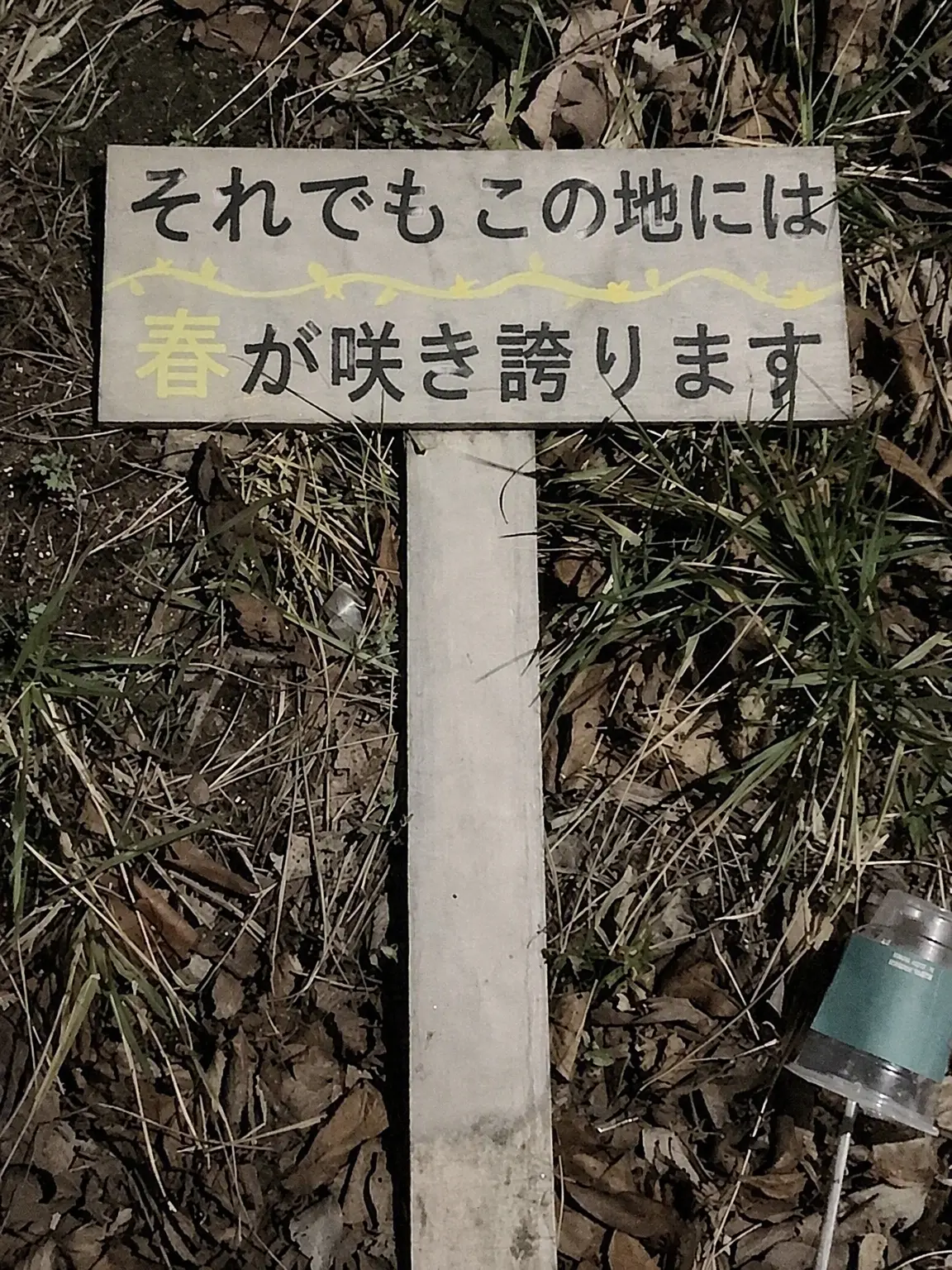 klchyxung의 パク・ジョンス