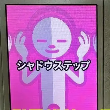 Profile image of ステップラー