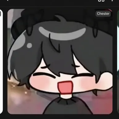 Profile image of Chester