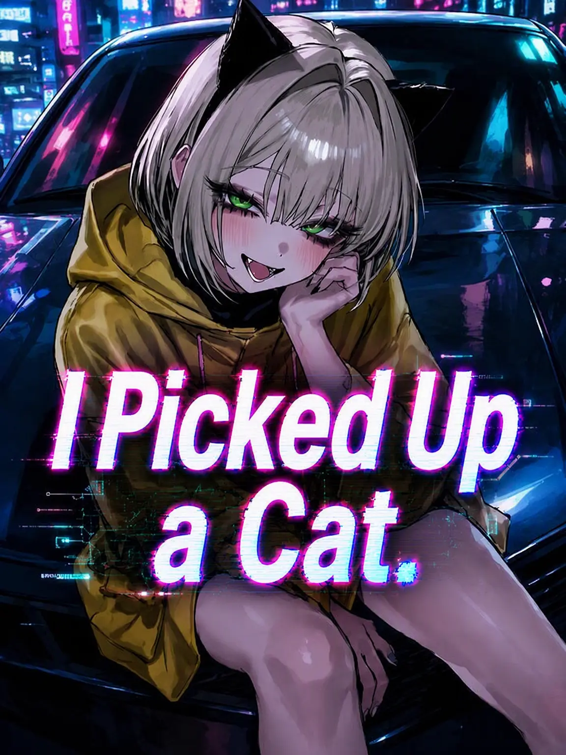 kaaarma_의 Stray Cat Pick-up