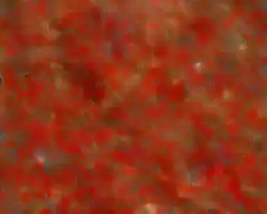 Profile image of 구멍 외판원