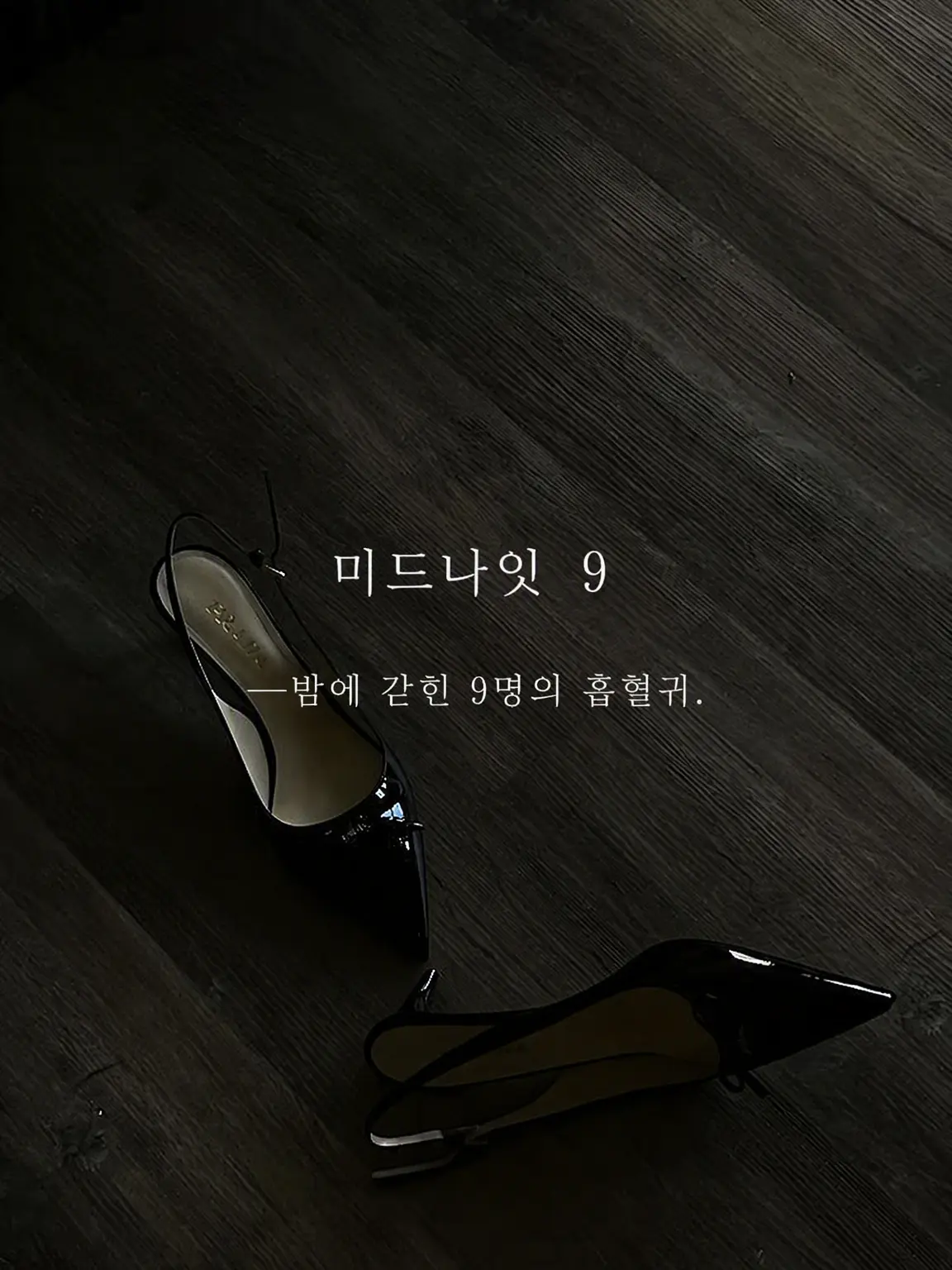 macha4_7의 𝐌𝐢𝐝𝐧𝐢𝐠𝐡𝐭  𝟗