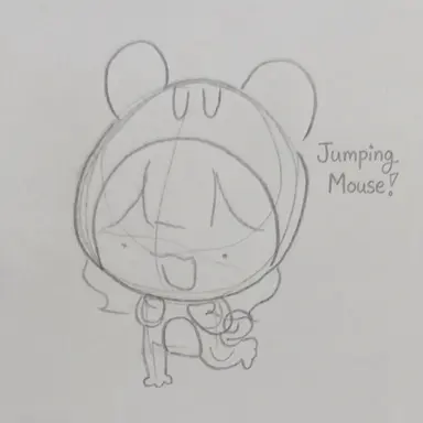 Profile image of Flying Squirrel