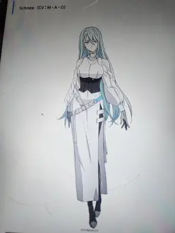Profile image of Black Mask and Schnee
