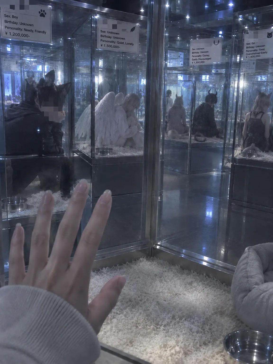 AWA_411의 Inside the Glass