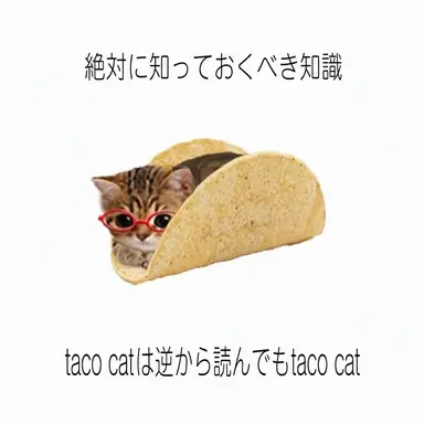 Profile image of ゴニャニ