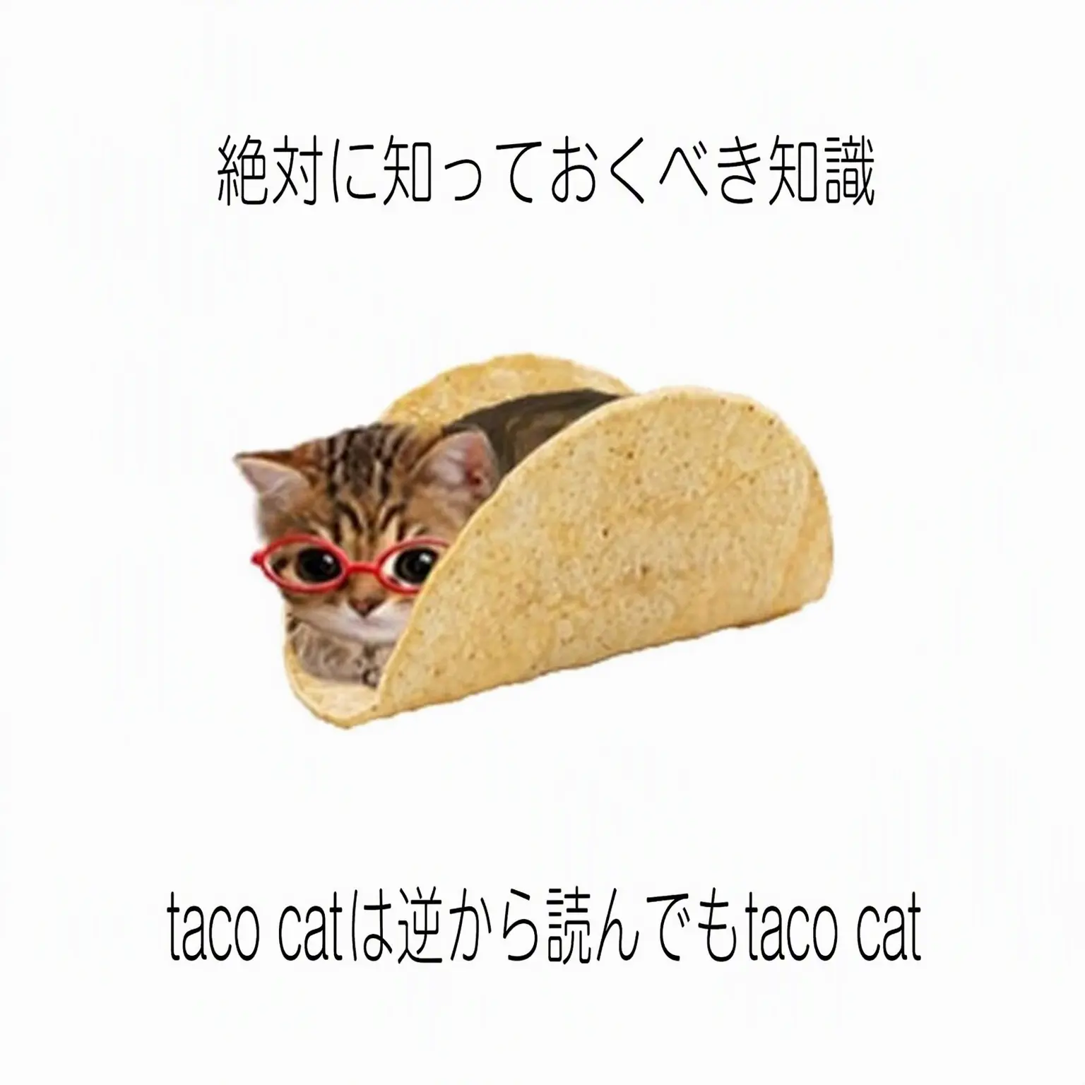 DryPie4589의 ネトコンで出会った仲も愛なの？