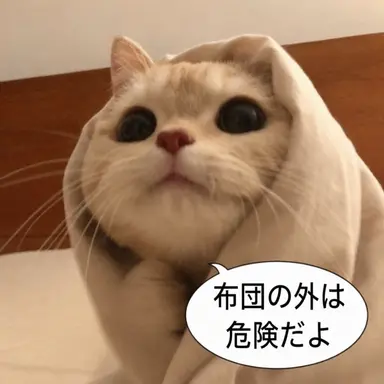 Profile image of イ・ヨン