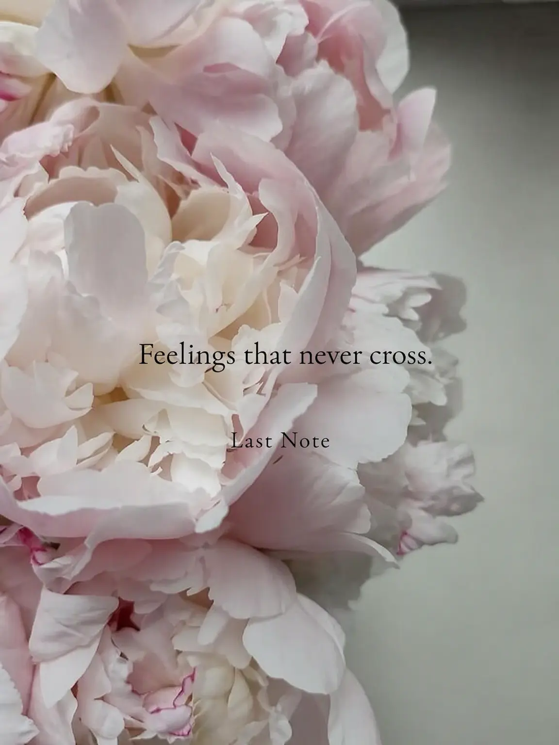 momonon의 Divergent Feelings