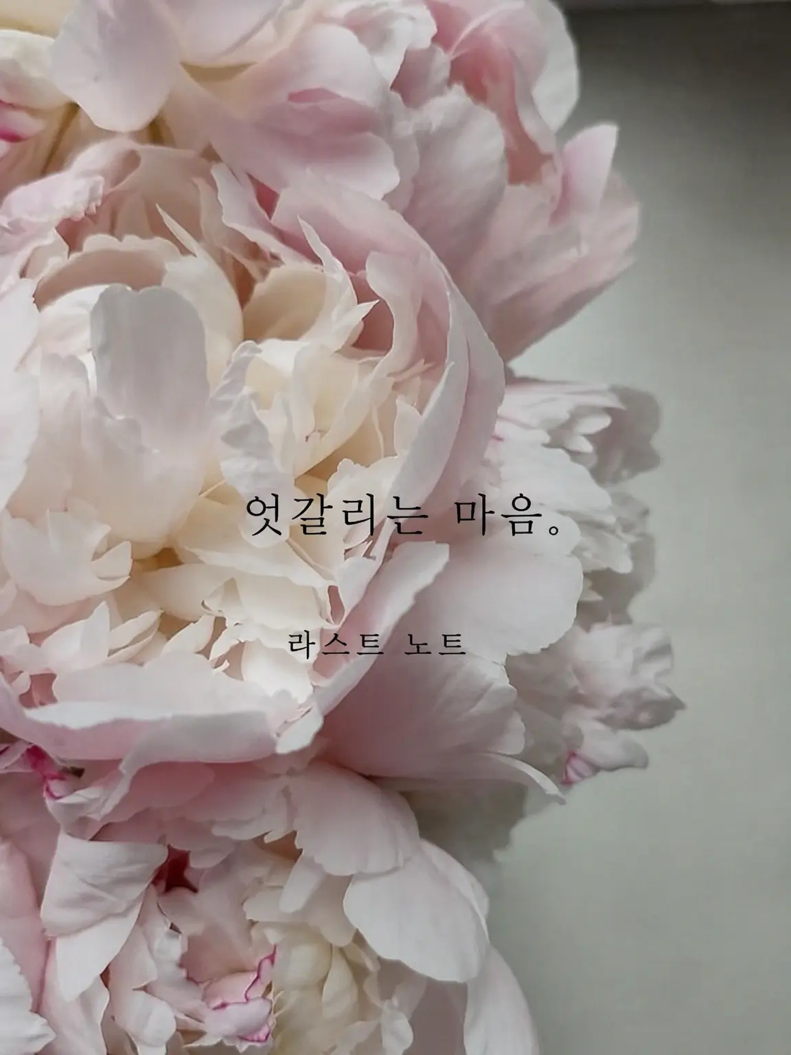 macha4_7의 엇갈리는 마음