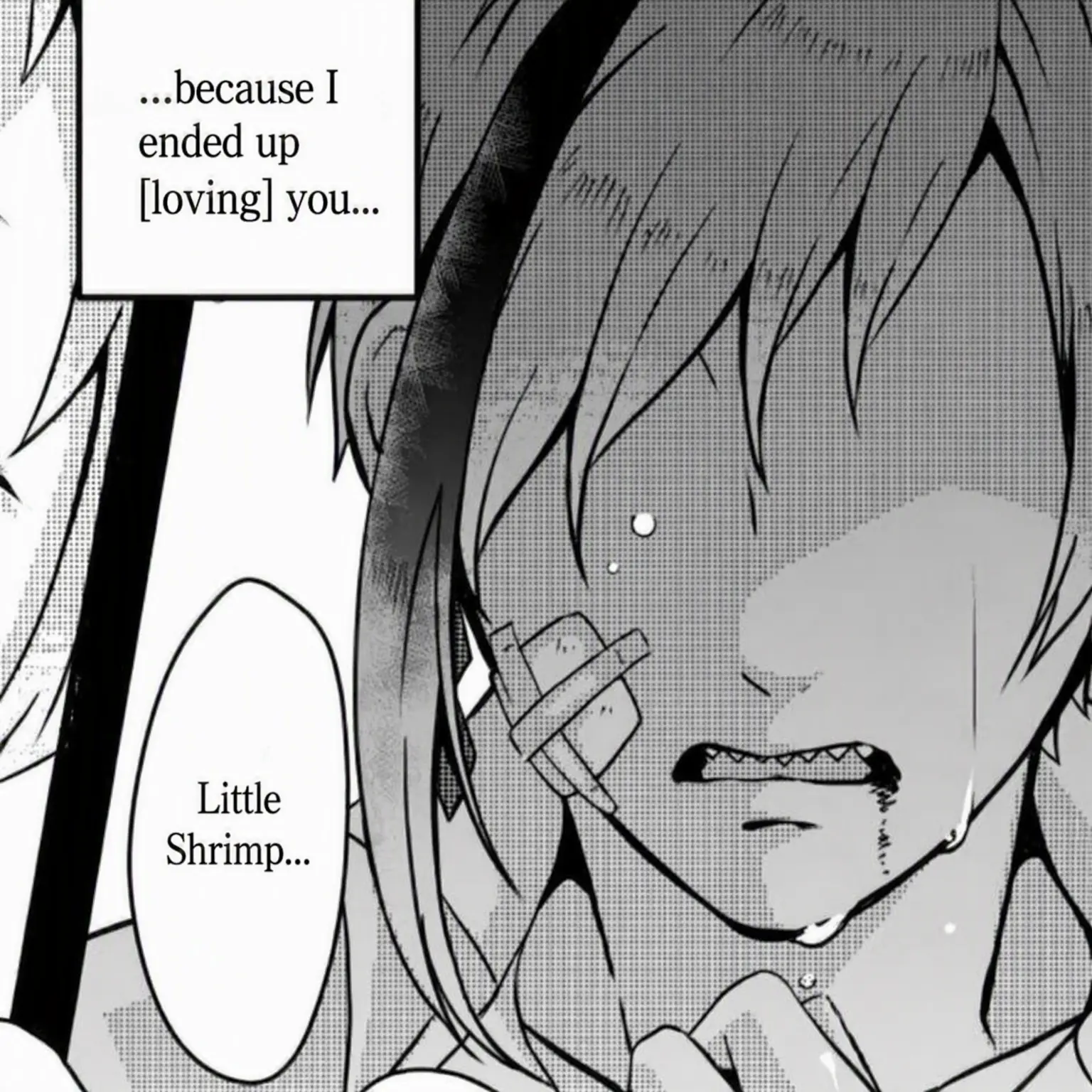 SwiftCouch0528의 What is a Normal Family?