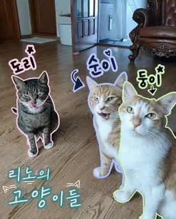 Profile image of 리노