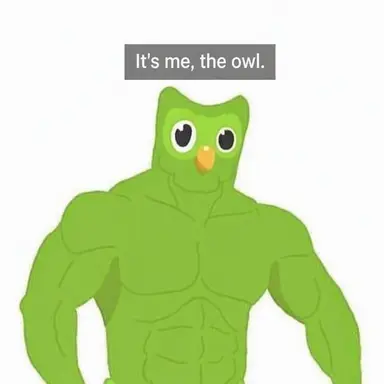 Profile image of Duolingo