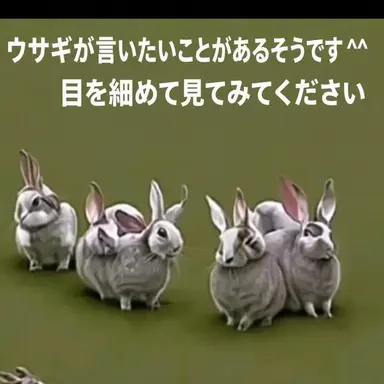 Profile image of ヨウ