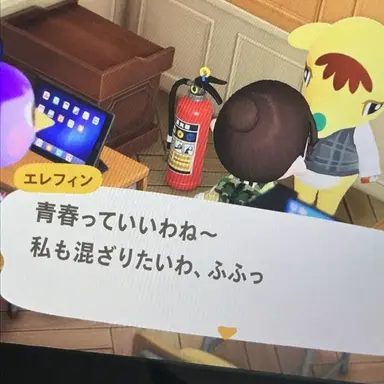 Profile image of チョマン