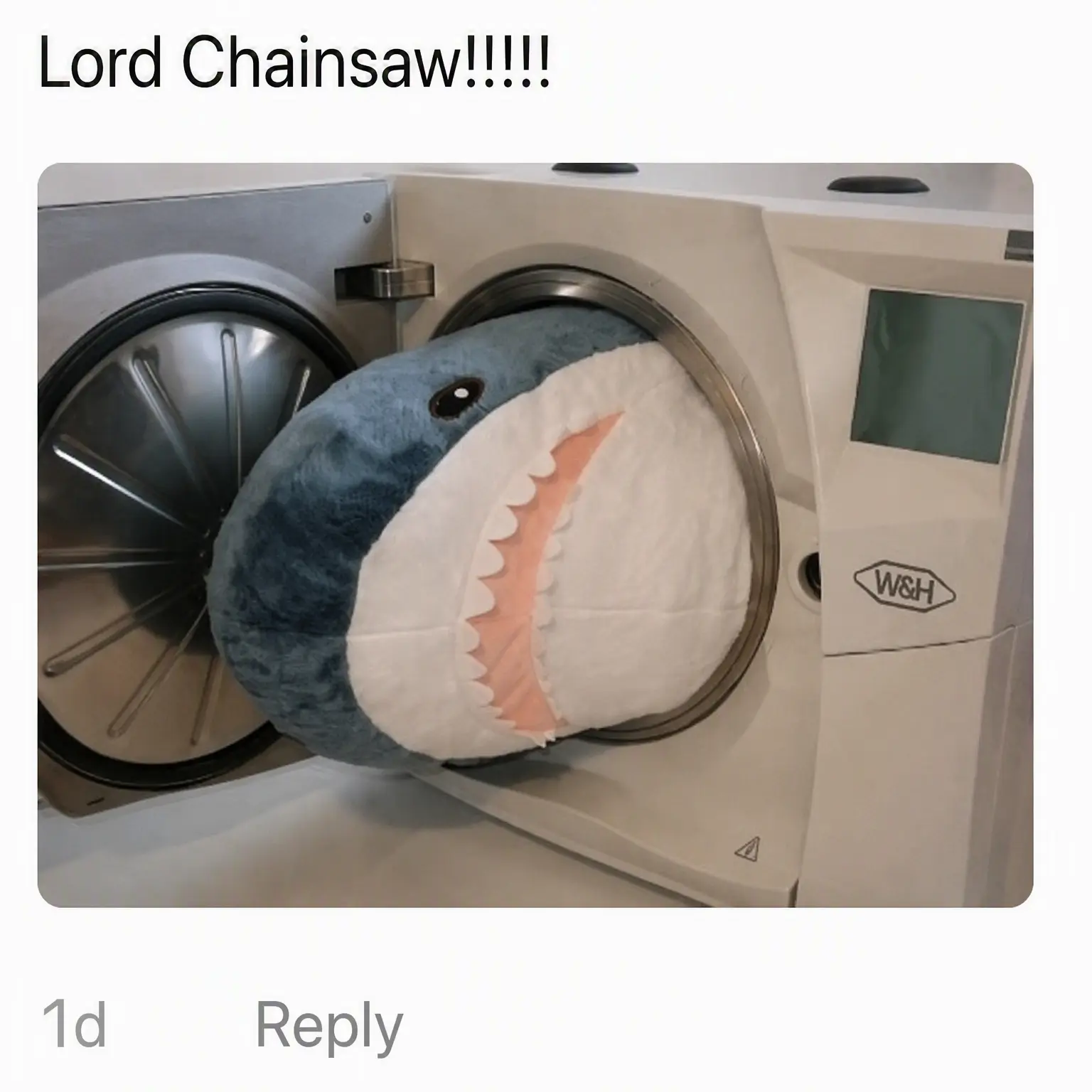 AfraidPlay6891의 Chainsaw Man (with a Fox)