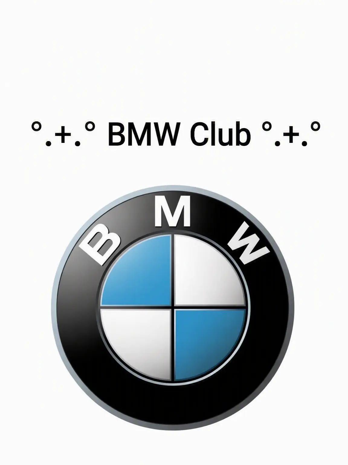 Zigzag.i_am_babo_girl의 °.+.° BMW Gathering °.+.°