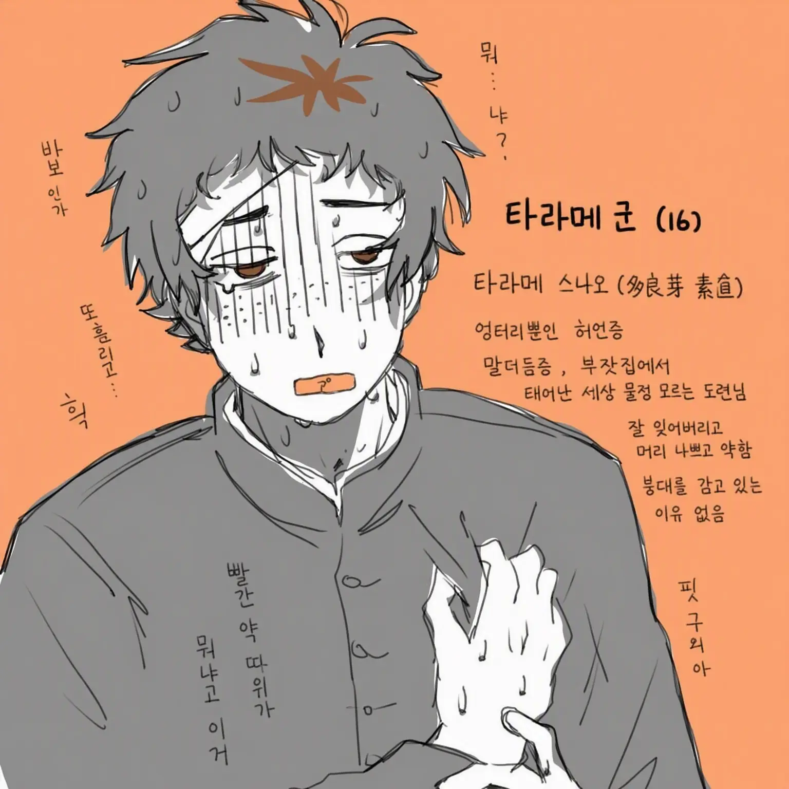 sho9mo2의 세상 물정 모르는 허언증 붕대남 교정하기