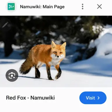 Profile image of Fox