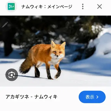 Profile image of ヨウ
