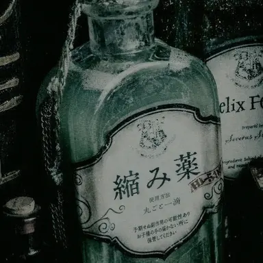 Profile image of 세베루스 스네이프