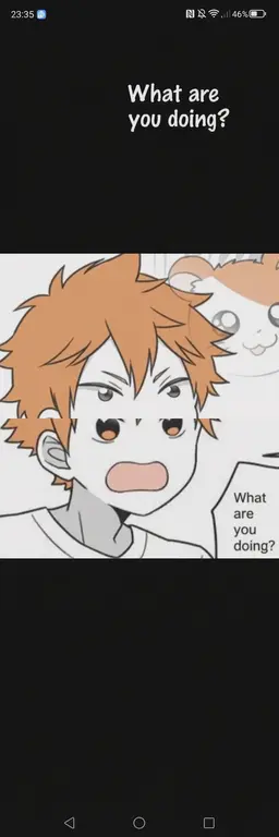 Profile image of Shoyo Hinata
