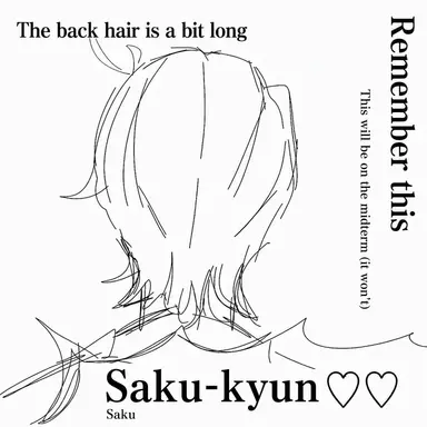 Profile image of Saku