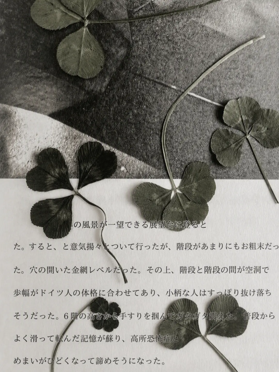 x10._2의 Arcana