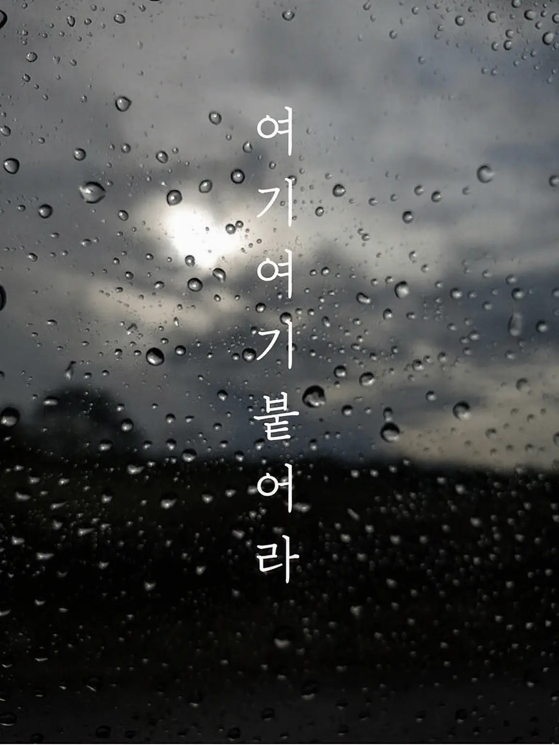 Lay_ZeroSiki의 우리 집에 왜 왔니