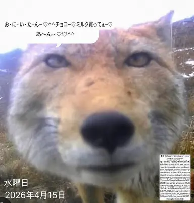 Profile image of キム・ヨウ