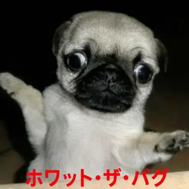 Profile image of ヨウ