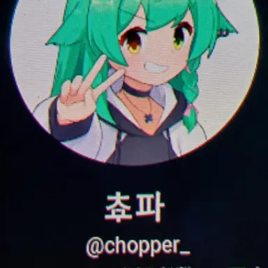 Profile image of 쵸파