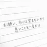 Profile image of ペク・サヒョン