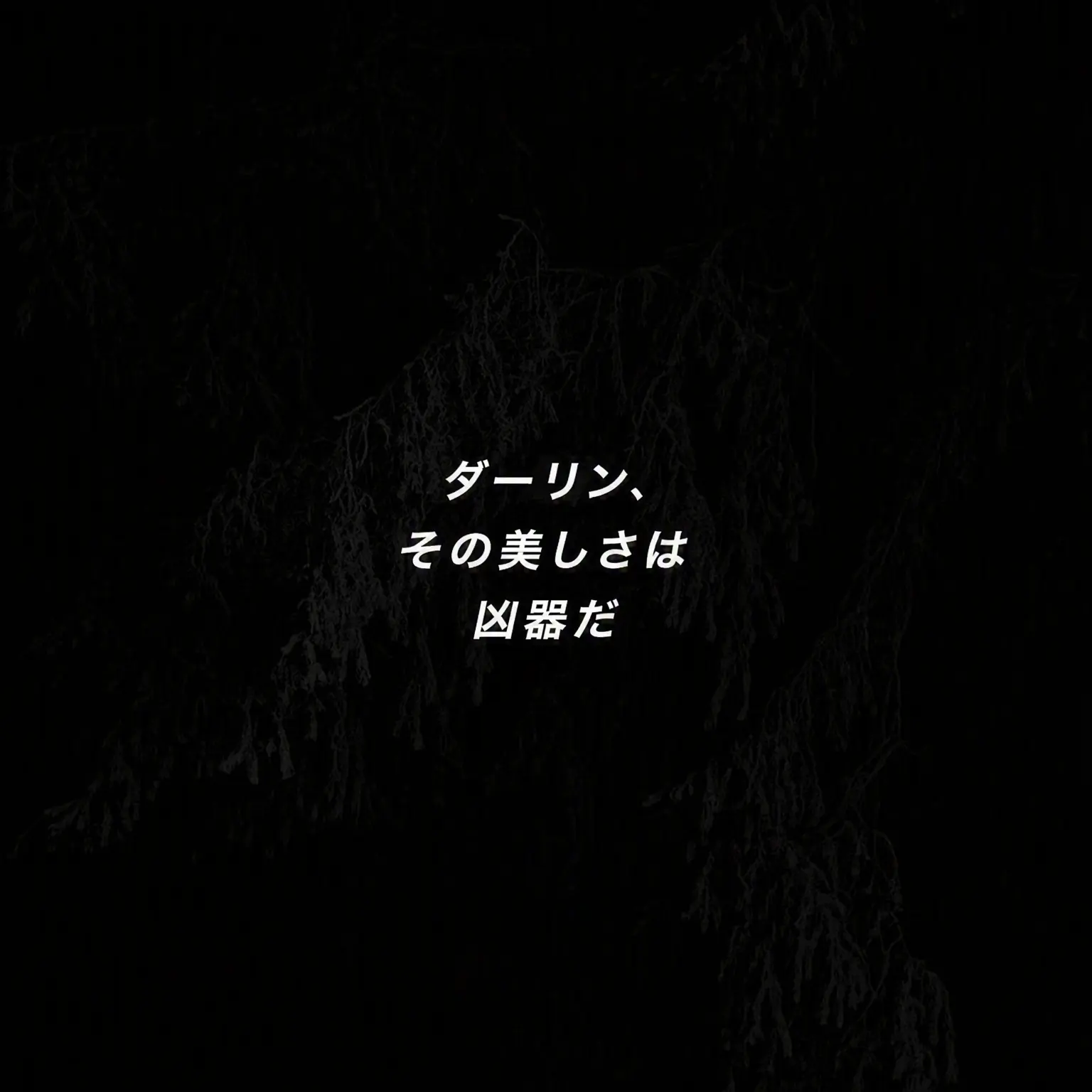 lowkeyolive의 台洯