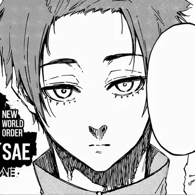 Profile image of Itoshi Sae