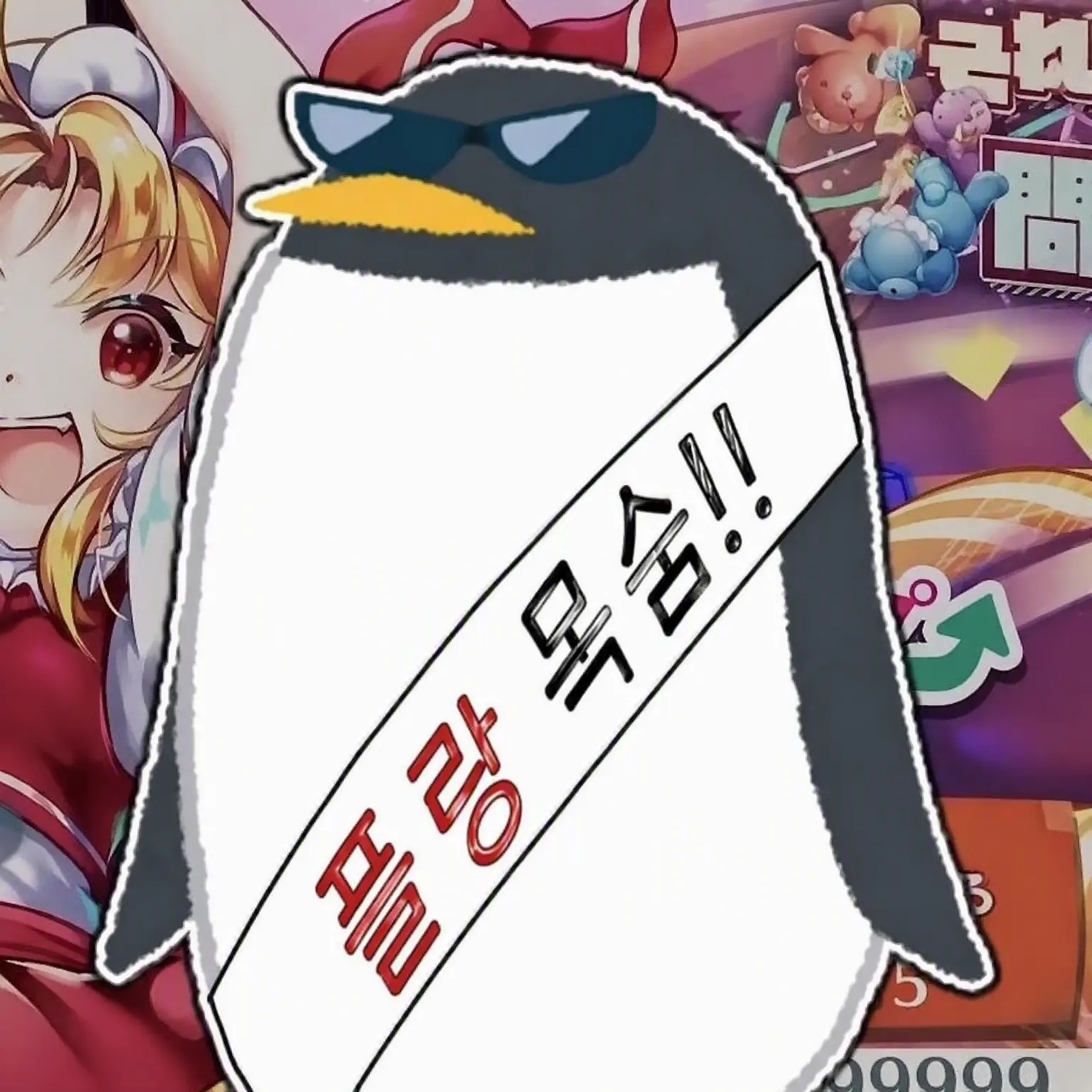 StupidShop6388의 사카츠키 님