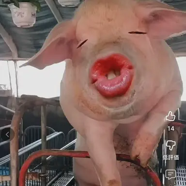 Profile image of ヨウ
