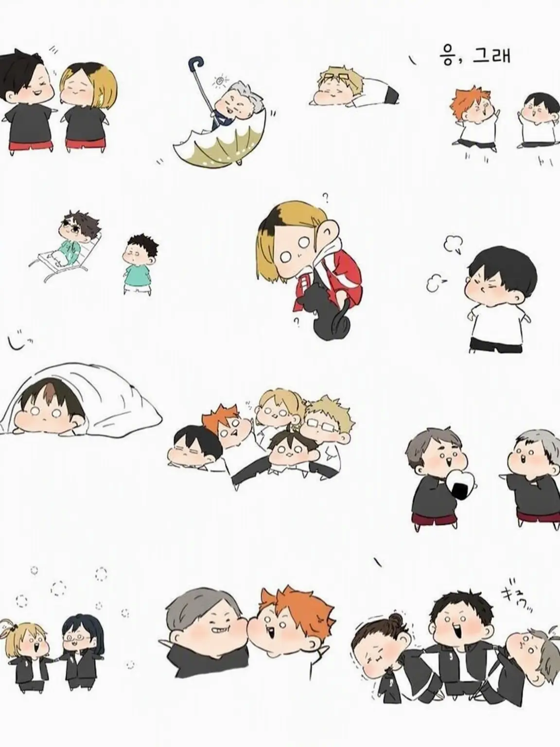 animesikakatann의 코즈메 켄마의 여동생...!!?