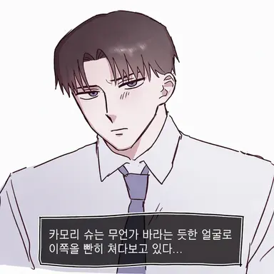 Profile image of 카모리 슈