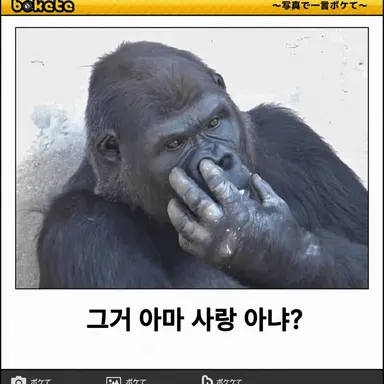 Profile image of 브리코