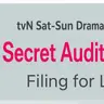 Profile image of Secret Audit