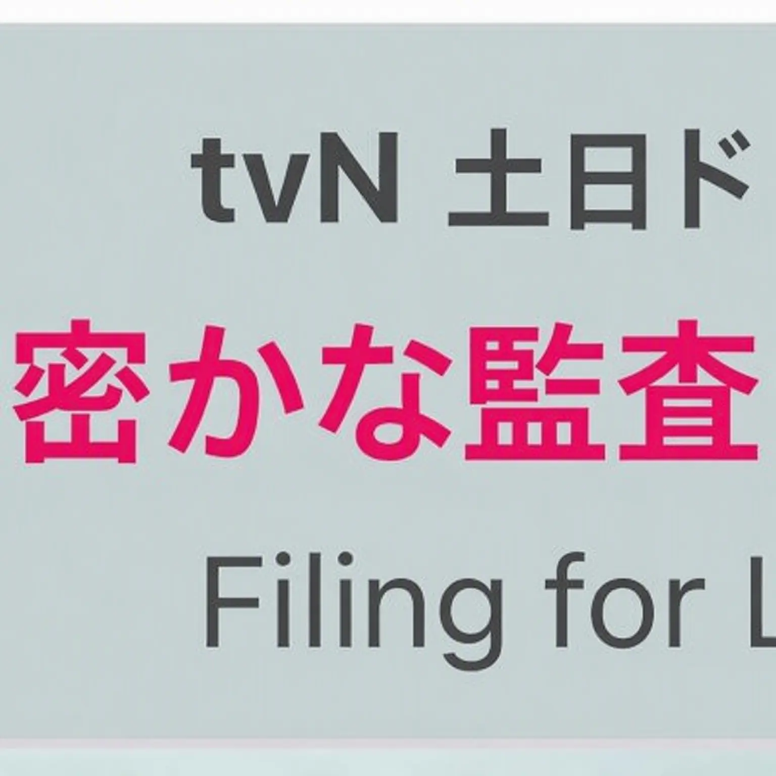 HXNOVA의 隠密な監査